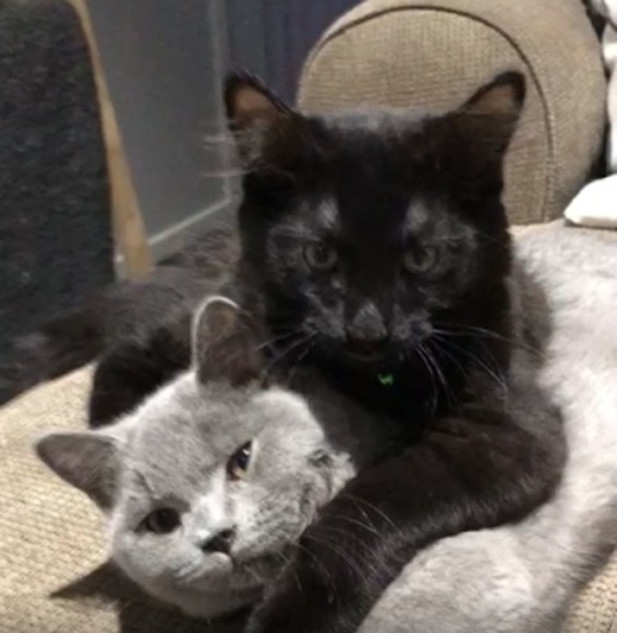 Meet your Posher, Nancy - Picture 1 of 1